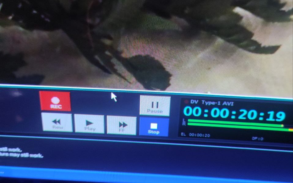 Digitizing VHS tapes — a collection of family VHS cassettes